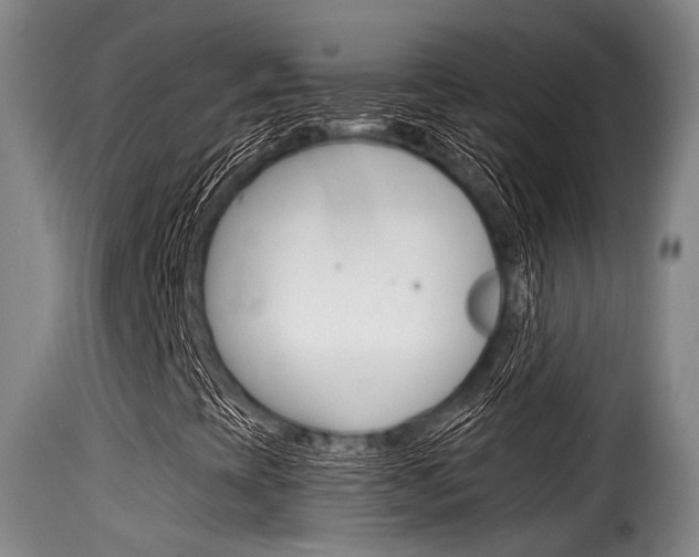 X0000116061393200911201150