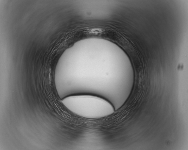 X0000116061394200911201150