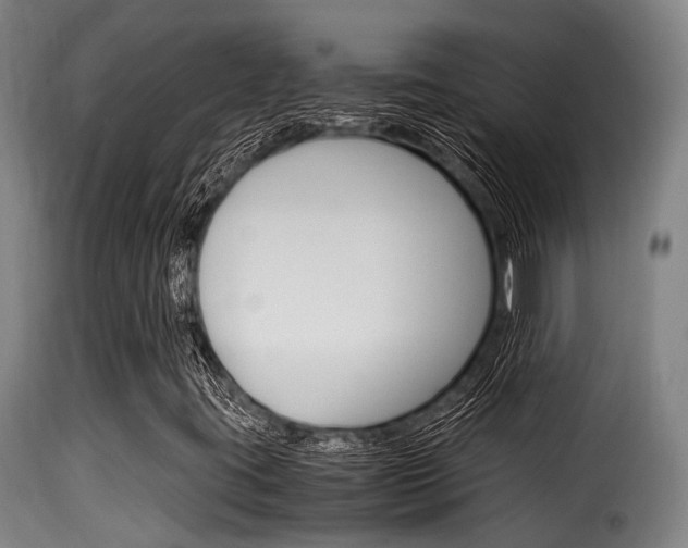 X0000116061395200911201150