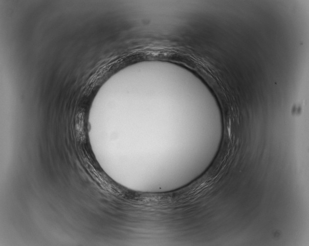 X0000116061396200911201150