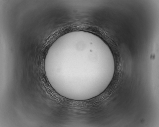 X0000116061397200911201150