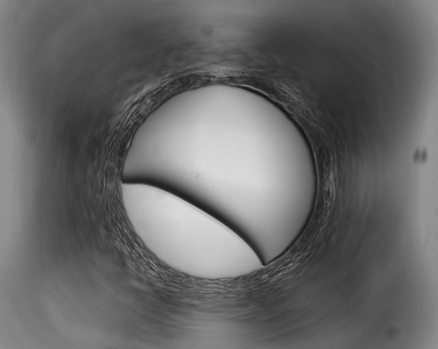 X0000116061398200911201150