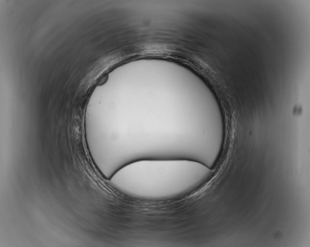 X0000116061401200911201150