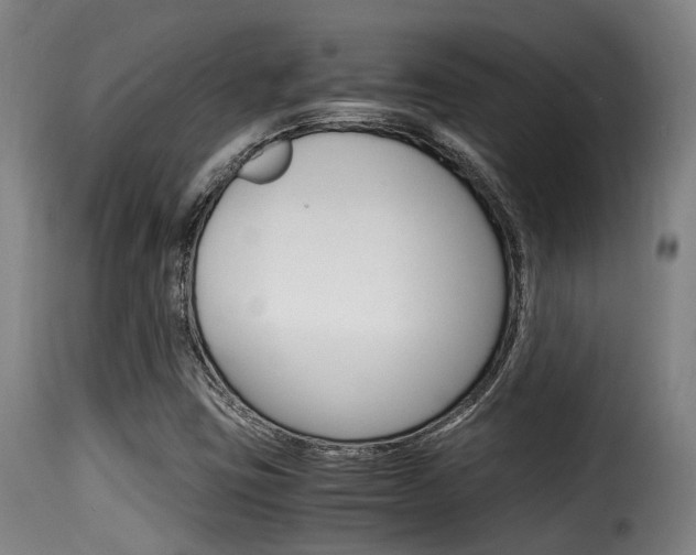 X0000116061403200911201150