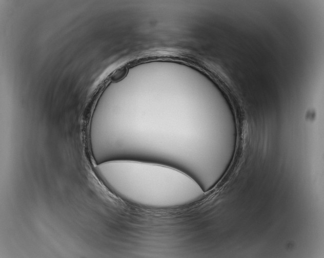 X0000116061404200911201150
