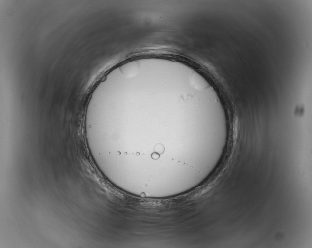 X0000116061405200911201150