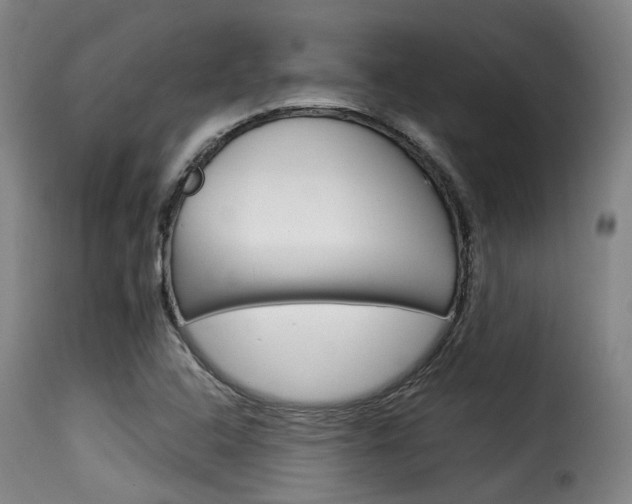 X0000116061408200911201150