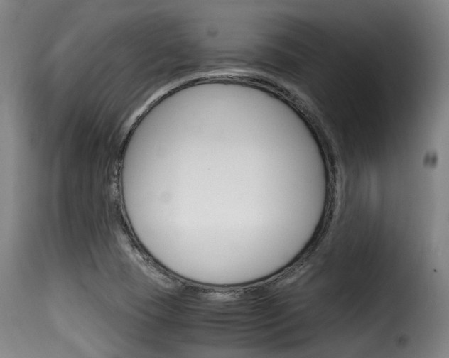 X0000116061409200911201150