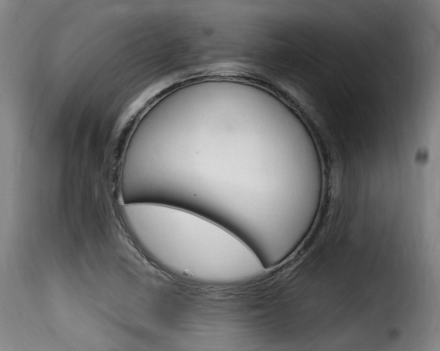 X0000116061410200911201150