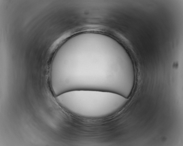 X0000116061411200911201150