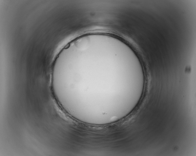 X0000116061413200911201150