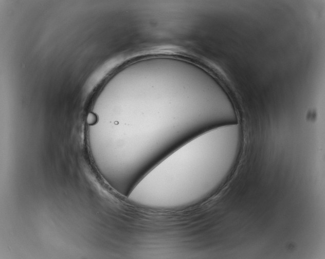 X0000116061414200911201150