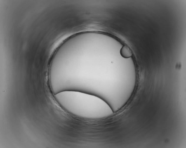 X0000116061415200911201150