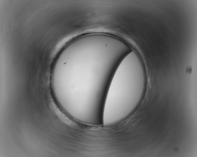 X0000116061416200911201150