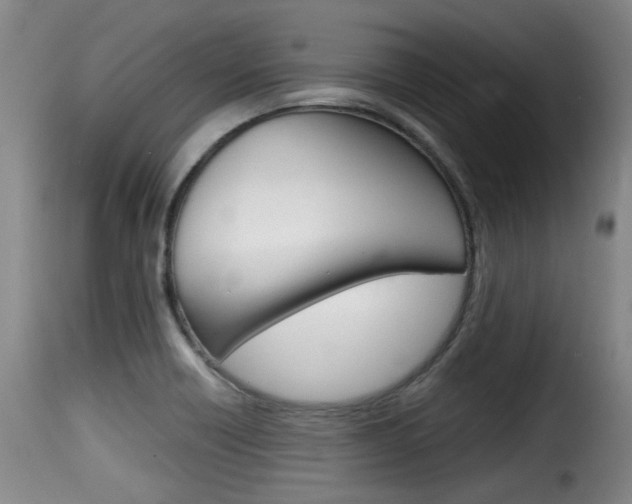 X0000116061418200911201150