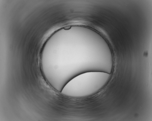 X0000116061419200911201150