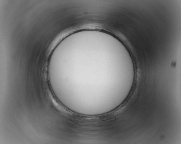 X0000116061421200911201150