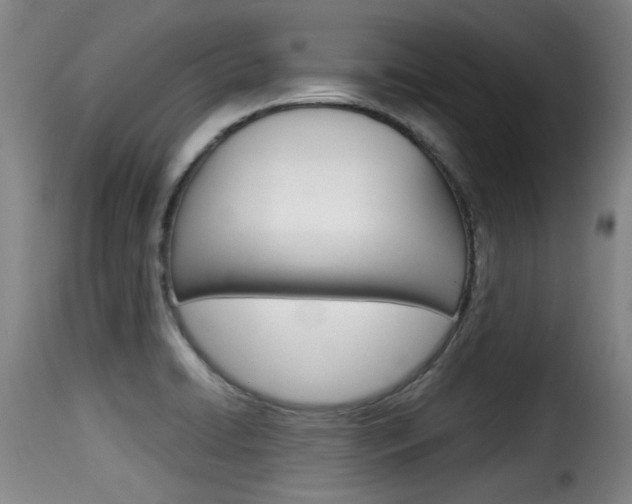 X0000116061422200911201150
