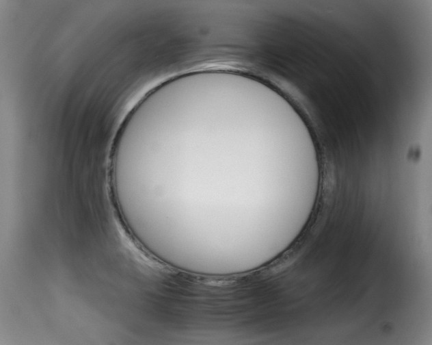 X0000116061423200911201150