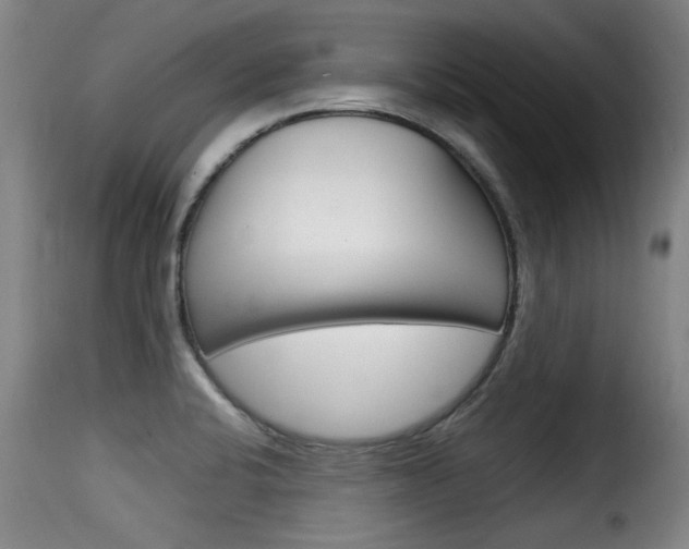 X0000116061424200911201150