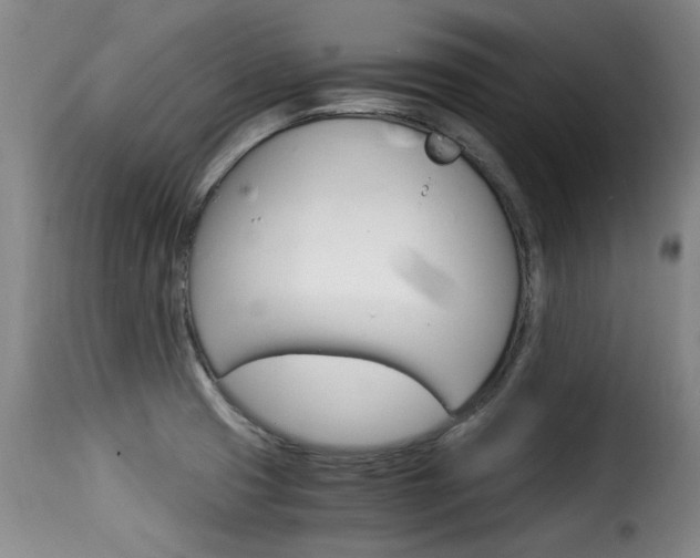 X0000116061425200911201150