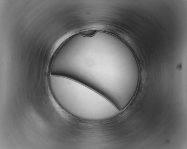 X0000116061426200911201150