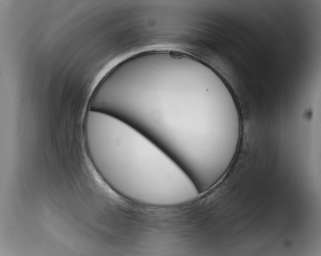 X0000116061428200911201150