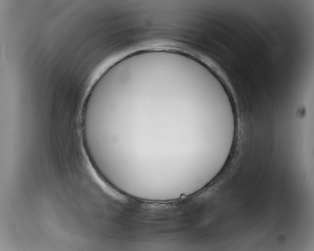 X0000116061429200911201150