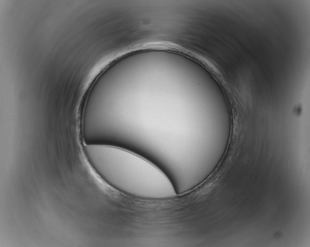 X0000116061430200911201150