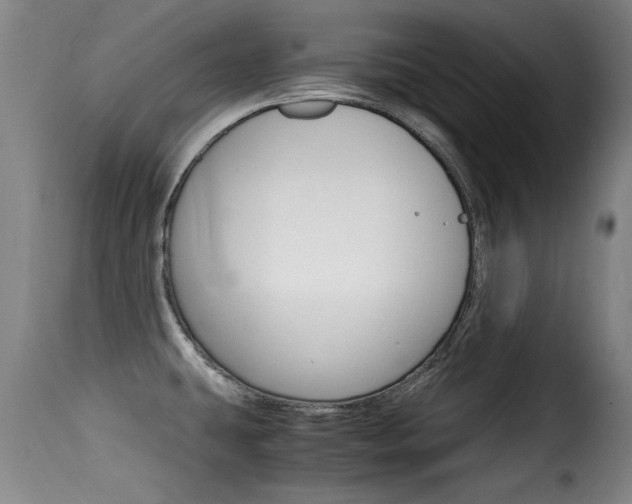 X0000116061431200911201150