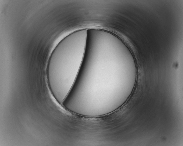 X0000116061432200911201150