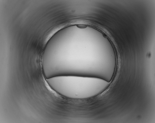 X0000116061433200911201151