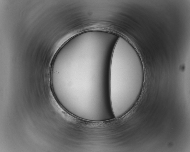 X0000116061434200911201151