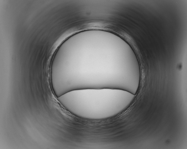 X0000116061435200911201151