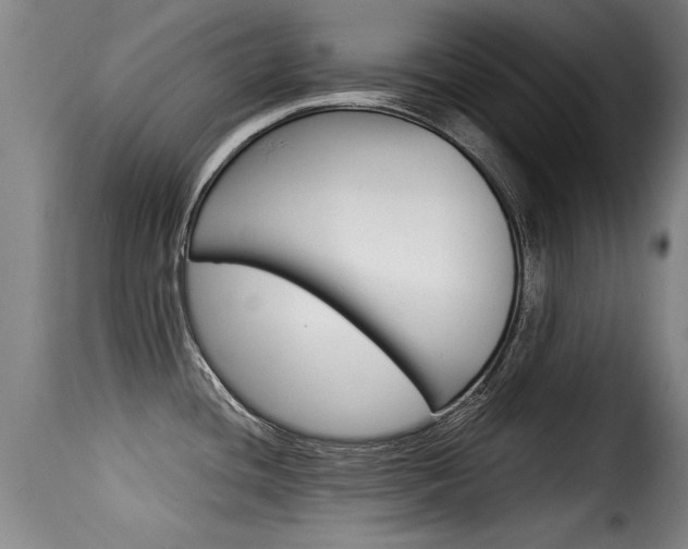 X0000116061436200911201151