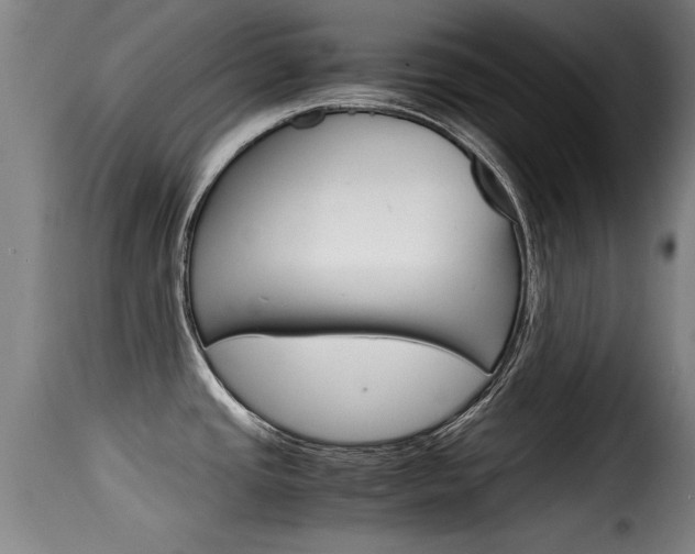 X0000116061437200911201151