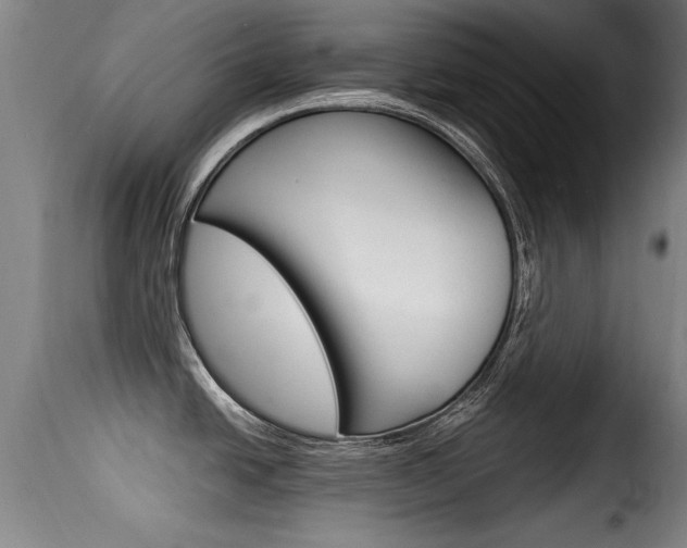 X0000116061438200911201151