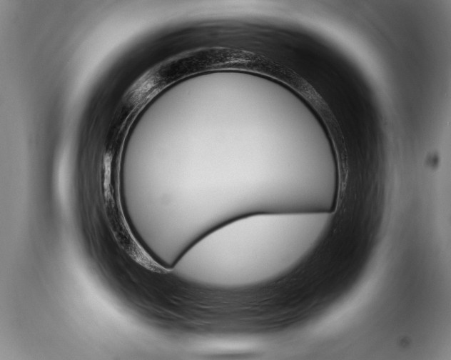 X0000116061439200911201151