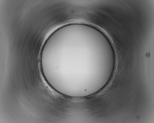X0000116061440200911201151