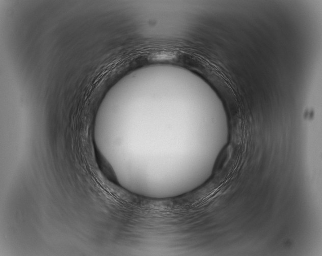 X0000116061441200911201150