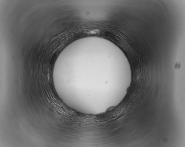 X0000116061442200911201150