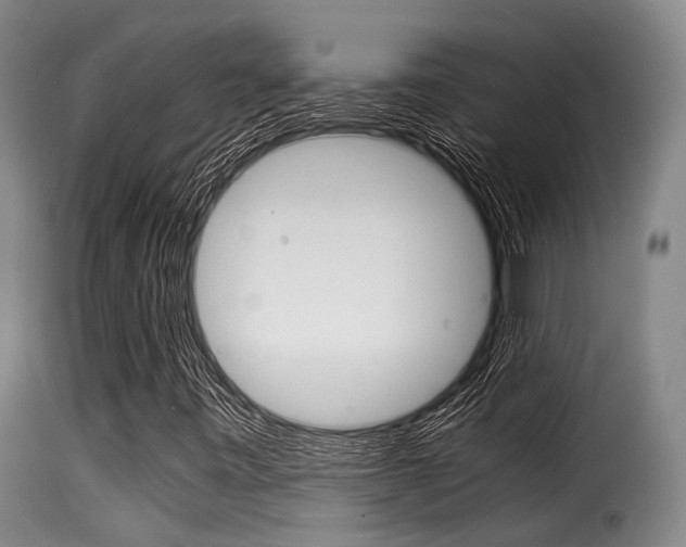 X0000116061443200911201150