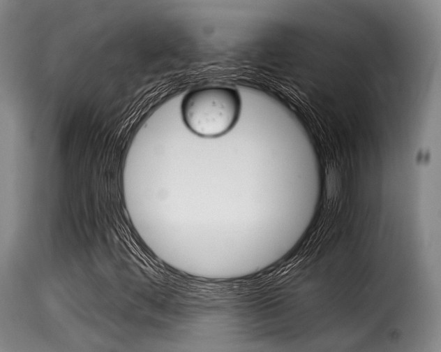 X0000116061444200911201150