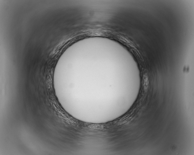 X0000116061446200911201150