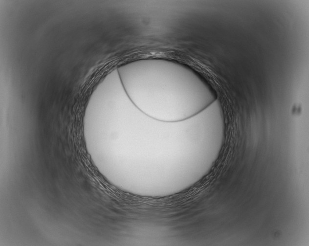 X0000116061447200911201150