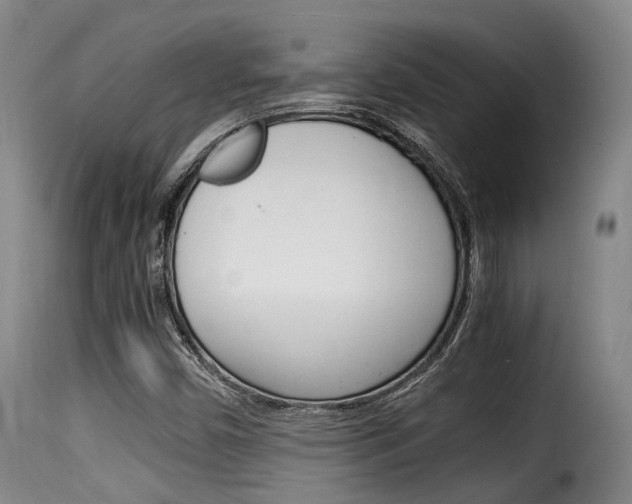 X0000116061450200911201150