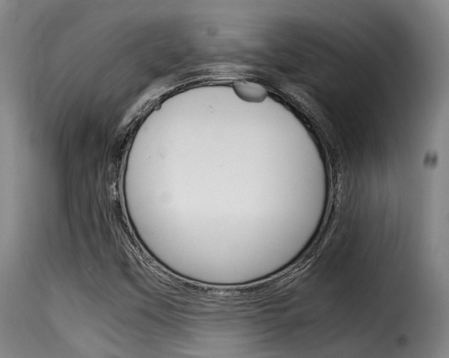 X0000116061451200911201150