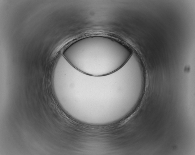 X0000116061453200911201150