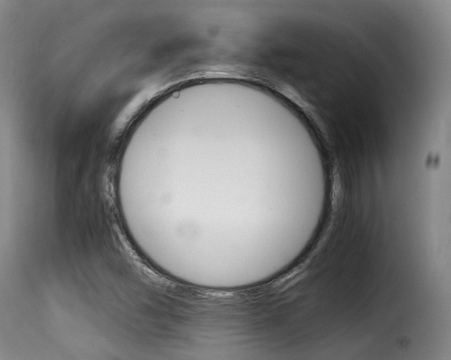 X0000116061454200911201150