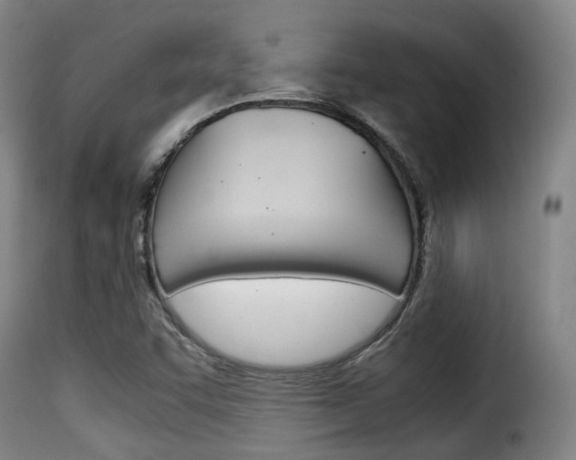 X0000116061455200911201150